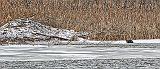 Beaver Lodge & Otter_P1010139